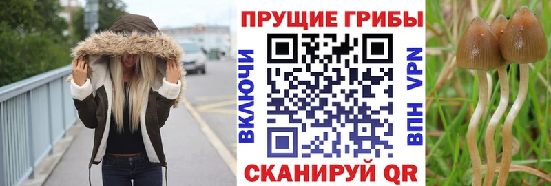 Галлюциногенные грибы Magic Shrooms  Купить где  Челябинск 