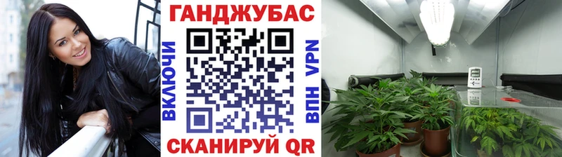 Купить где  Челябинск  Марихуана White Widow 